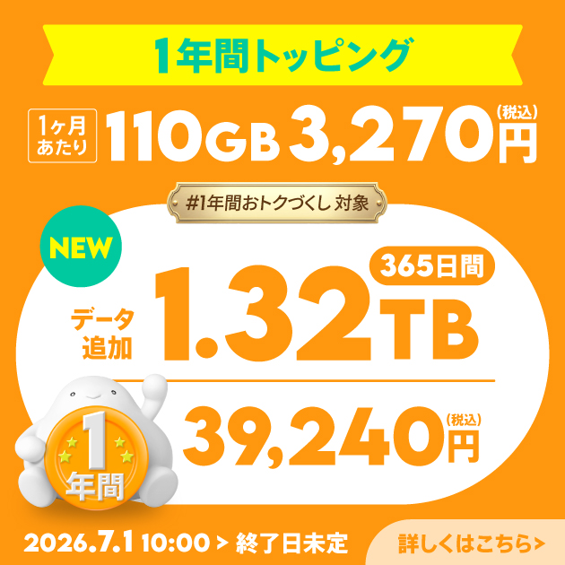 データ追加1.32TB(365日間)