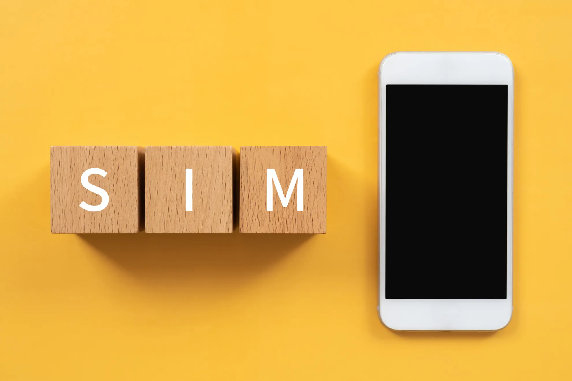 【基礎知識】そもそもSIMとは?